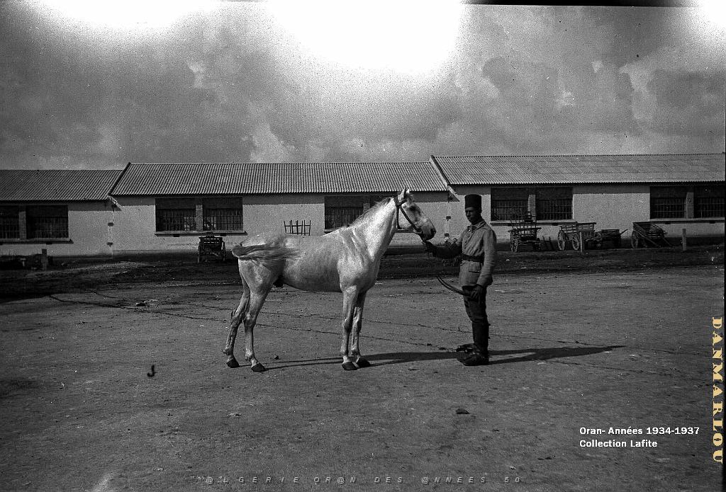 ORAN 1934 1937 QUARTIER DU 6 EME HUSSARD A ECKMUHL   (1).jpg